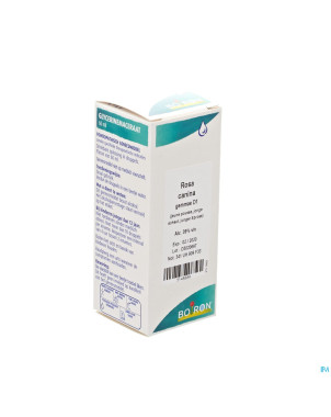 Rosa canina gemmo d1    60ml boiron