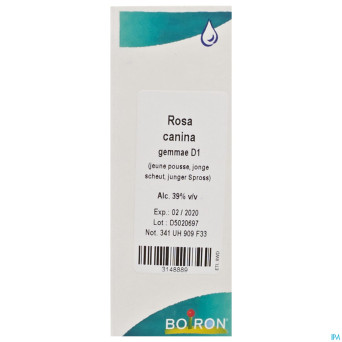 Rosa canina gemmo d1    60ml boiron