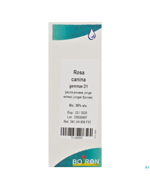 Rosa canina gemmo d1    60ml boiron