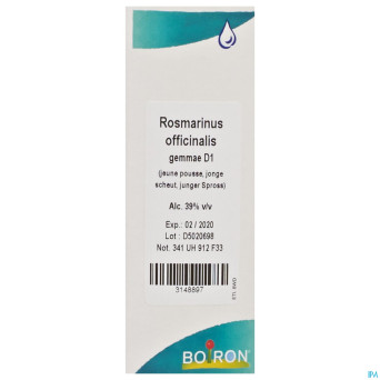 Rosmarinus officinalis gemmo d1    60ml boiron