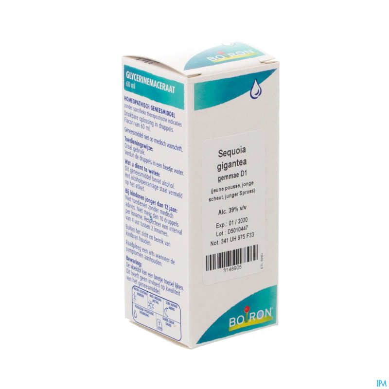 Sequoia gigantea gemmo d1    60ml boiron