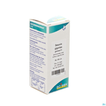 Sequoia gigantea gemmo d1    60ml boiron