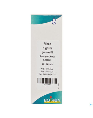 Ribes nigrum gemmo d1    60ml boiron