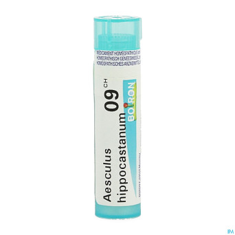 Aesculus hippocastanum    9ch gr 4g boiron