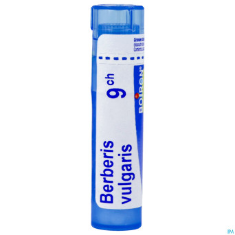 Berberis vulgaris    9ch gr 4g boiron