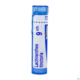 Lachnanthes tinctoria    9ch gr 4g boiron