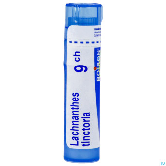 Lachnanthes tinctoria    9ch gr 4g boiron