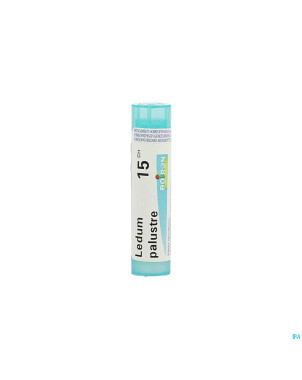 Ledum palustre    15ch gr 4g boiron