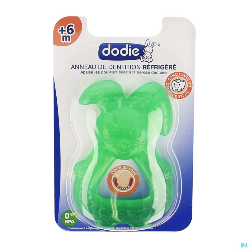 Dodie anneau dentition refrigere lapin vert