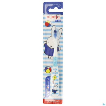 Dental care nijntje brosse a dents