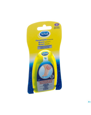 Scholl pans ampoules grand format 5
