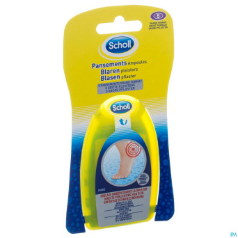 Scholl pans ampoules grand format 5