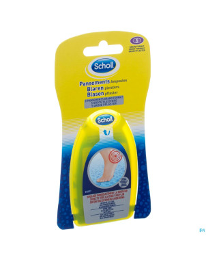 Scholl pans ampoules grand format 5