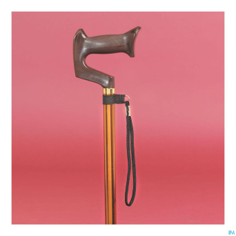 Laniere pour canne    advys