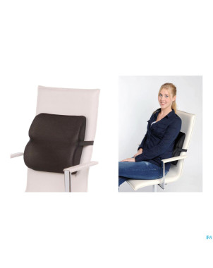 Coussin soutien lombaire 28x25x6cm    advys