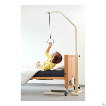 Perroquet sur pied days    advys