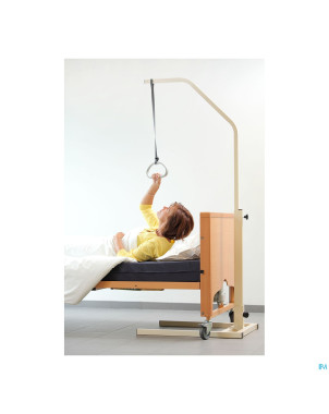 Perroquet sur pied days    advys