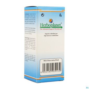 Herboplanet ficus carica msa macerat  gouttes 50ml
