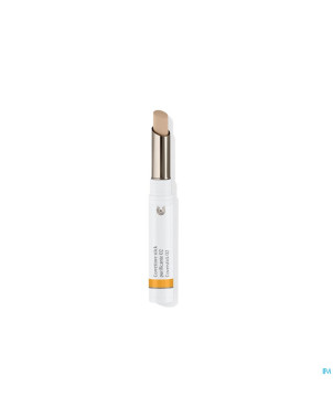 Dr.hauschka stick correcteur 02    2g nl