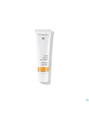 Dr.hauschka dagcreme gekleurde    30ml nl