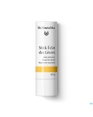 Dr.hauschka stick eclat levres    49g fr
