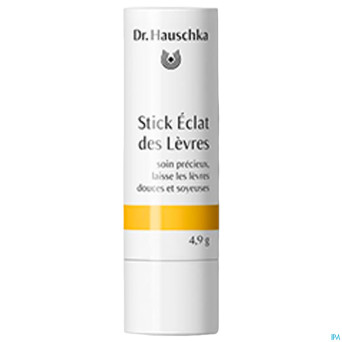 Dr.hauschka stick eclat levres    49g fr