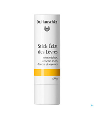 Dr.hauschka stick eclat levres    49g fr