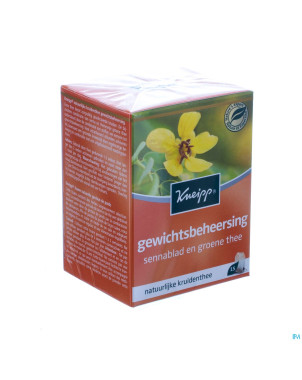 Kneipp tisane gestion poids sach 15