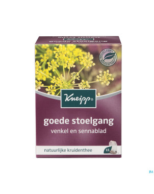 Kneipp tisane transit facile sach 15