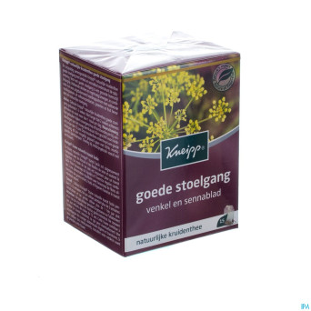 Kneipp tisane transit facile sach 15