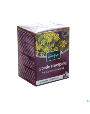Kneipp tisane transit facile sach 15