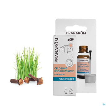 Pranarom aromaderm lotion ongle jaune fl 10ml
