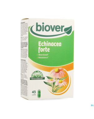 All day echinacea forte   v-caps 45
