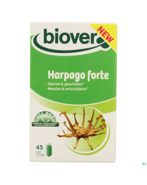 All day harpago forte    comp 45