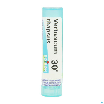 Verbascum thapsus    30k gr 4g boiron