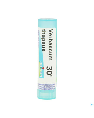 Verbascum thapsus    30k gr 4g boiron