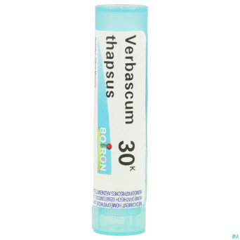 Verbascum thapsus    30k gr 4g boiron