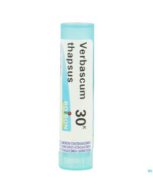 Verbascum thapsus    30k gr 4g boiron