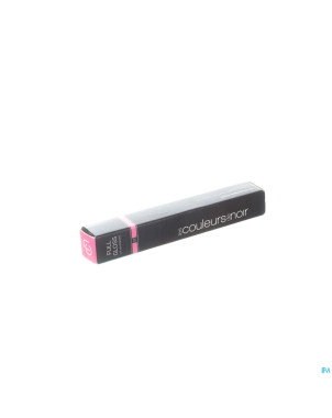 Les couleurs de noir full gloss lip maximizer 02
