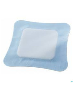 Vliwasorb pro pansement   12,5x22,5cm 10 32642