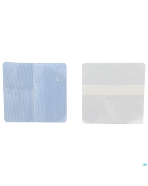 Suprasorb g compresse new    10x 10cm   5 33631