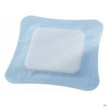 Vliwasorb pro pansement   12,5x12,5cm 10 32641