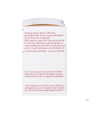 Zephirus 240mcg/20mcg pdr inhal. 60 gel + 1 inhal.