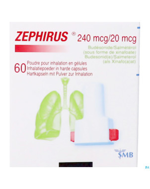 Zephirus 240mcg/20mcg pdr inhal. 60 gel + 1 inhal.