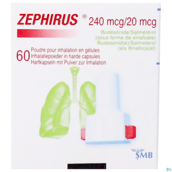 Zephirus 240mcg/20mcg pdr inhal. 60 gel + 1 inhal.