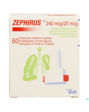 Zephirus 240mcg/20mcg pdr inhal. 60 gel + 1 inhal.