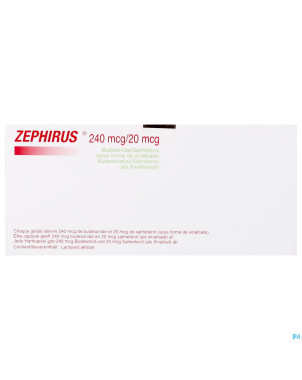 Zephirus 240mcg/20mcg pdr inhal.180 gel + 1 inhal.