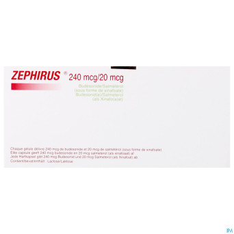 Zephirus 240mcg/20mcg pdr inhal.180 gel + 1 inhal.
