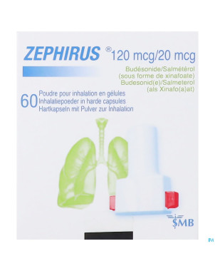 Zephirus 120mcg/20mcg pdr inhal. 60 gel + 1 inhal.