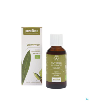 Purasana puragem olivier    50ml